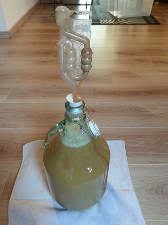 gärung apfelwein